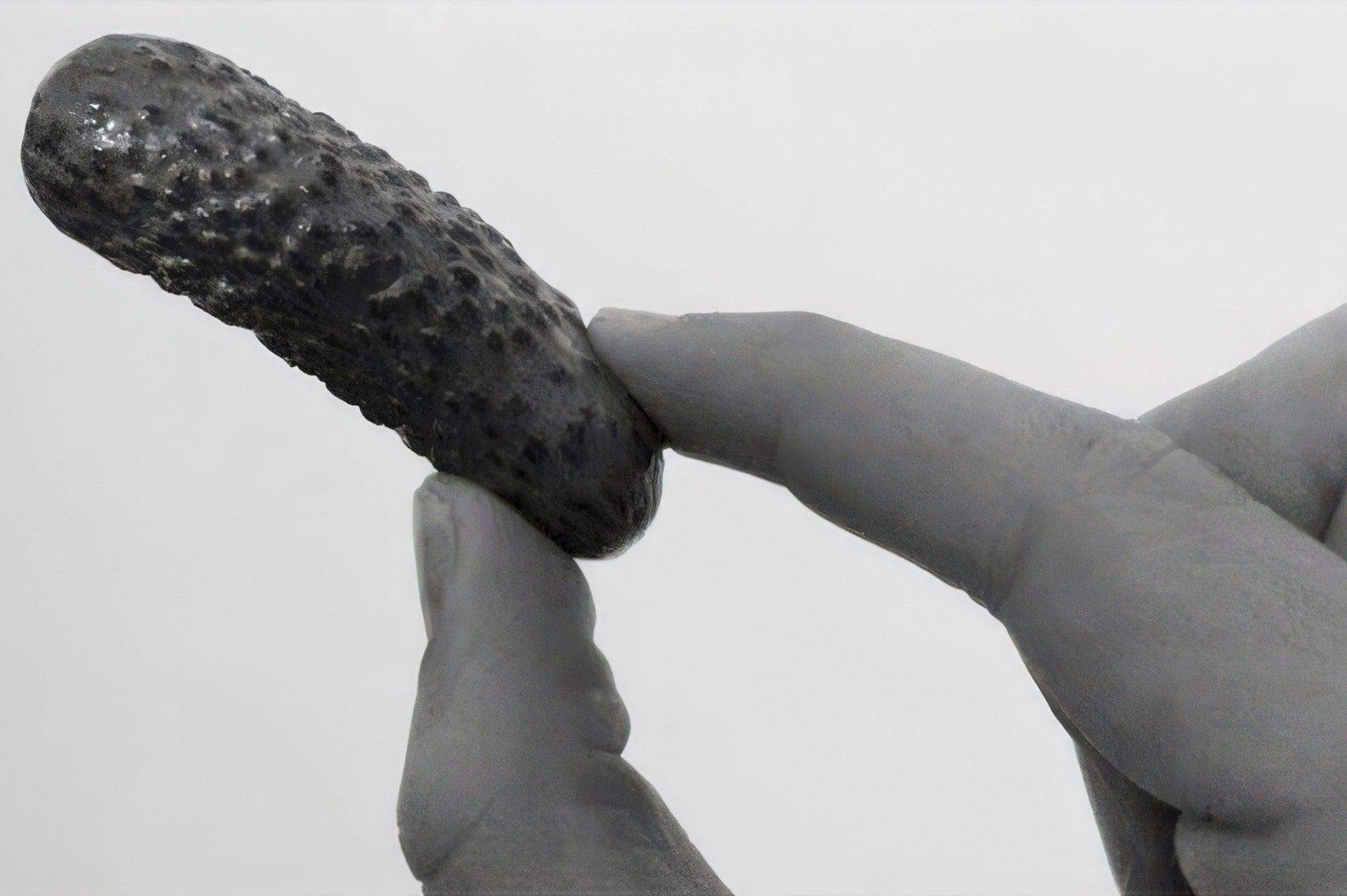 Black-and-white close-up of fingers pinching a small textured pickle against a white background.