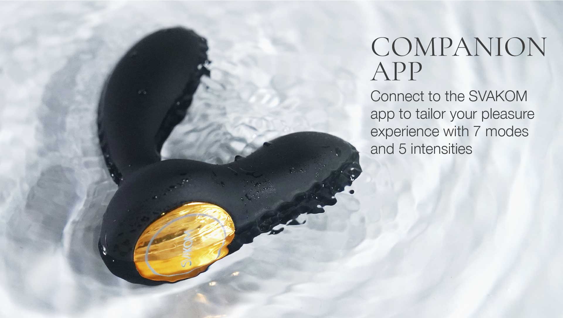 Black and gold electronic device with text about a companion app on a white background