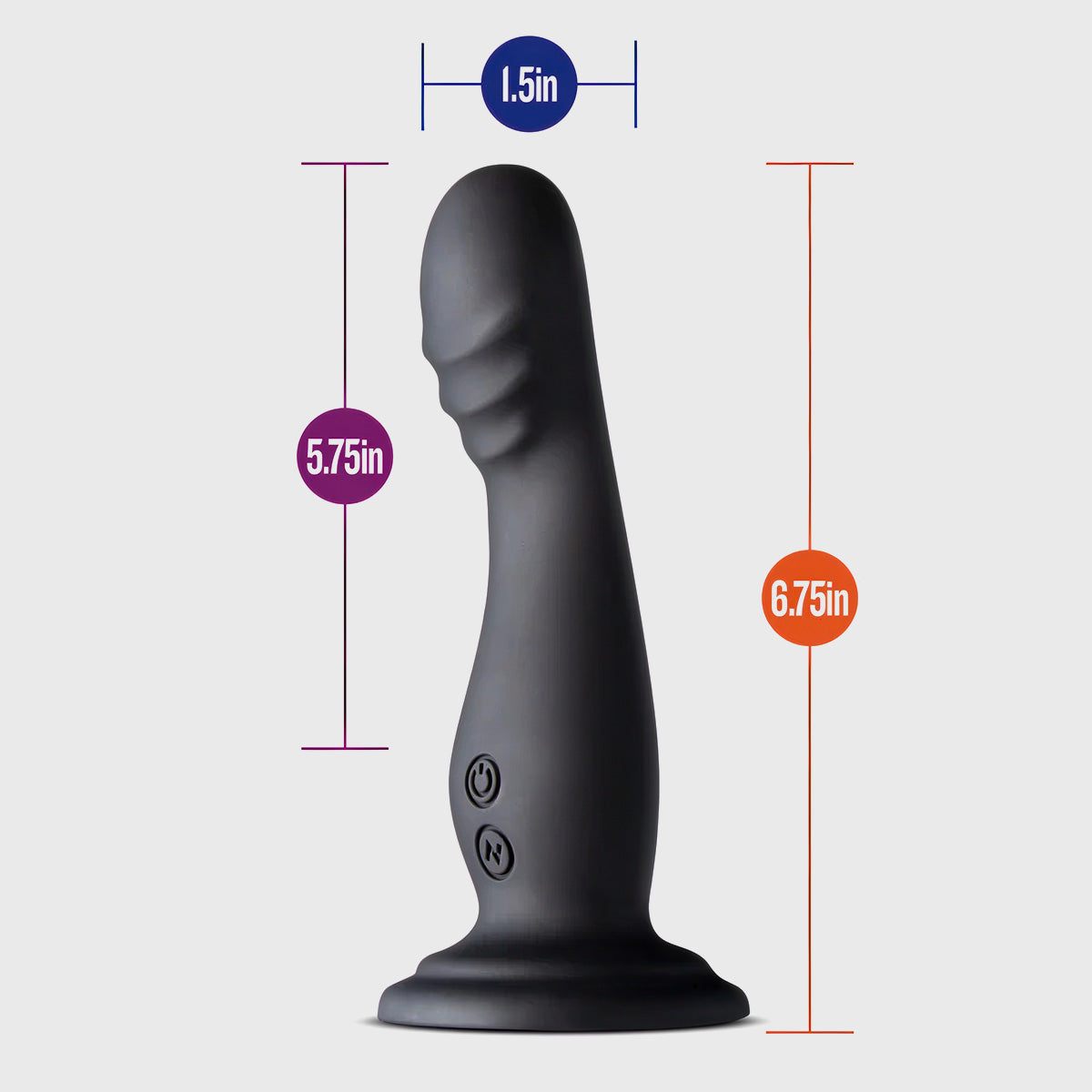 Impressions Amsterdam size infographic