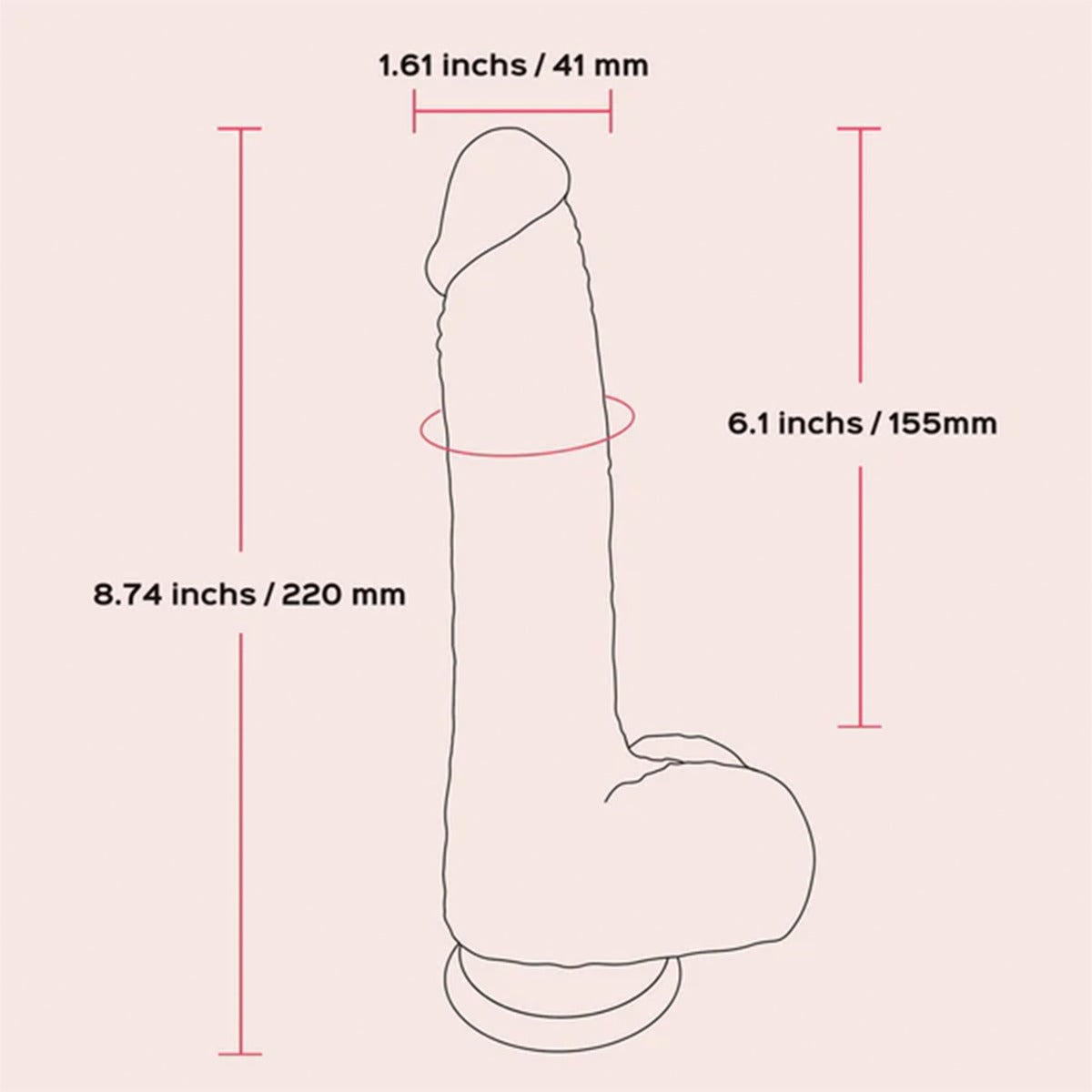 Noctura dildo size graphic