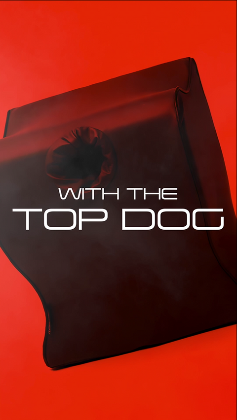 Black toy mount with 'With the Top Dog' text on a red background