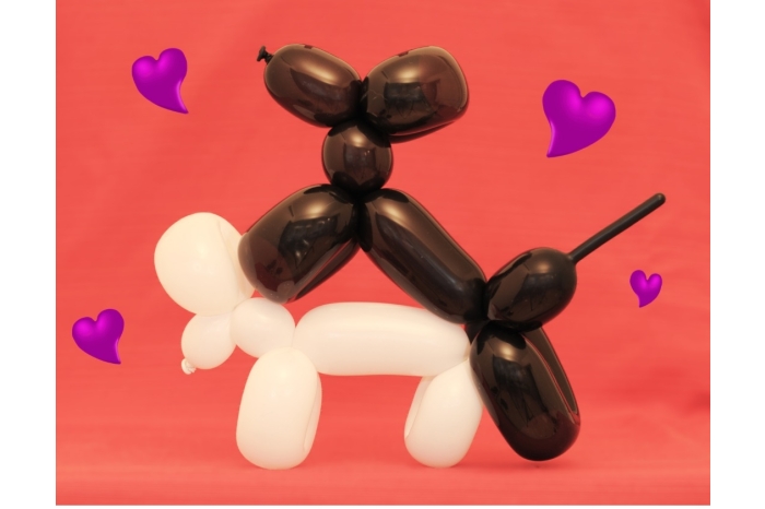 doggy style balloon sex