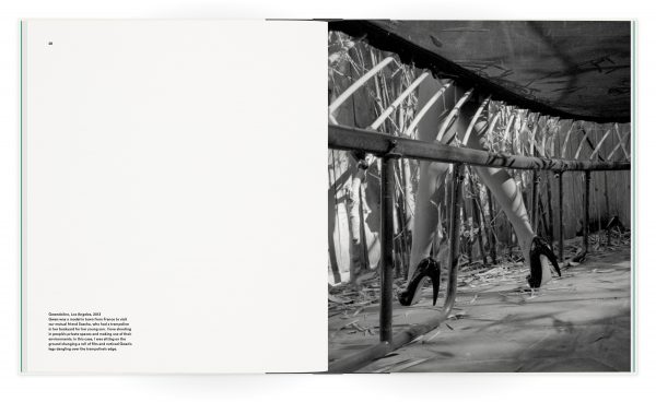 Steve Diet Goedde Extempore