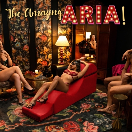 ARIA Convertible Chaise and Bench