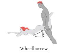 Wheelbarrow sex position on the Heart Wedge Pillow