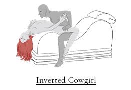 An illustration of a couple in the Inverted Cowgirl sex position laying over an Esse Chaise that is sitting on top of a Flip Stage to add height. 