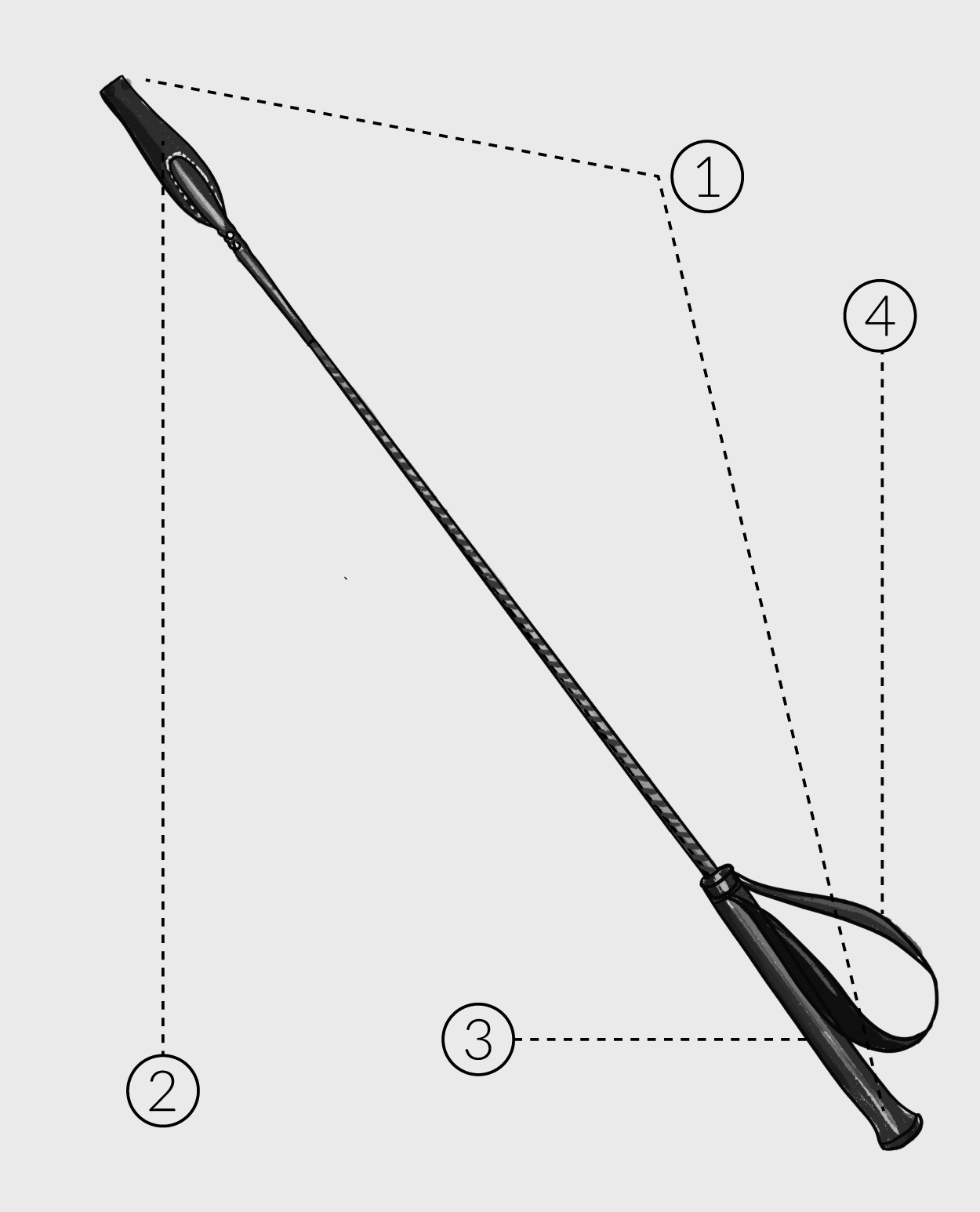 Amsterdam Riding Crop Features 1