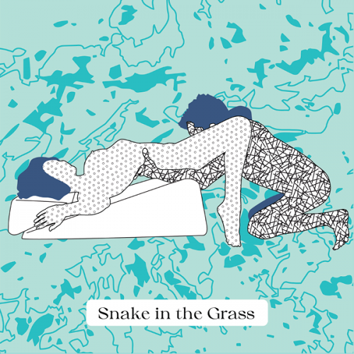 "Snake in the Grass" sex position using the Liberator Wedge Ramp Combo